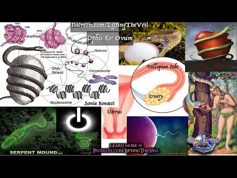Symbols of Power 2.8: The Egg of Life, Universal Creation, Symbolic Anatomy - Lifting The Veil