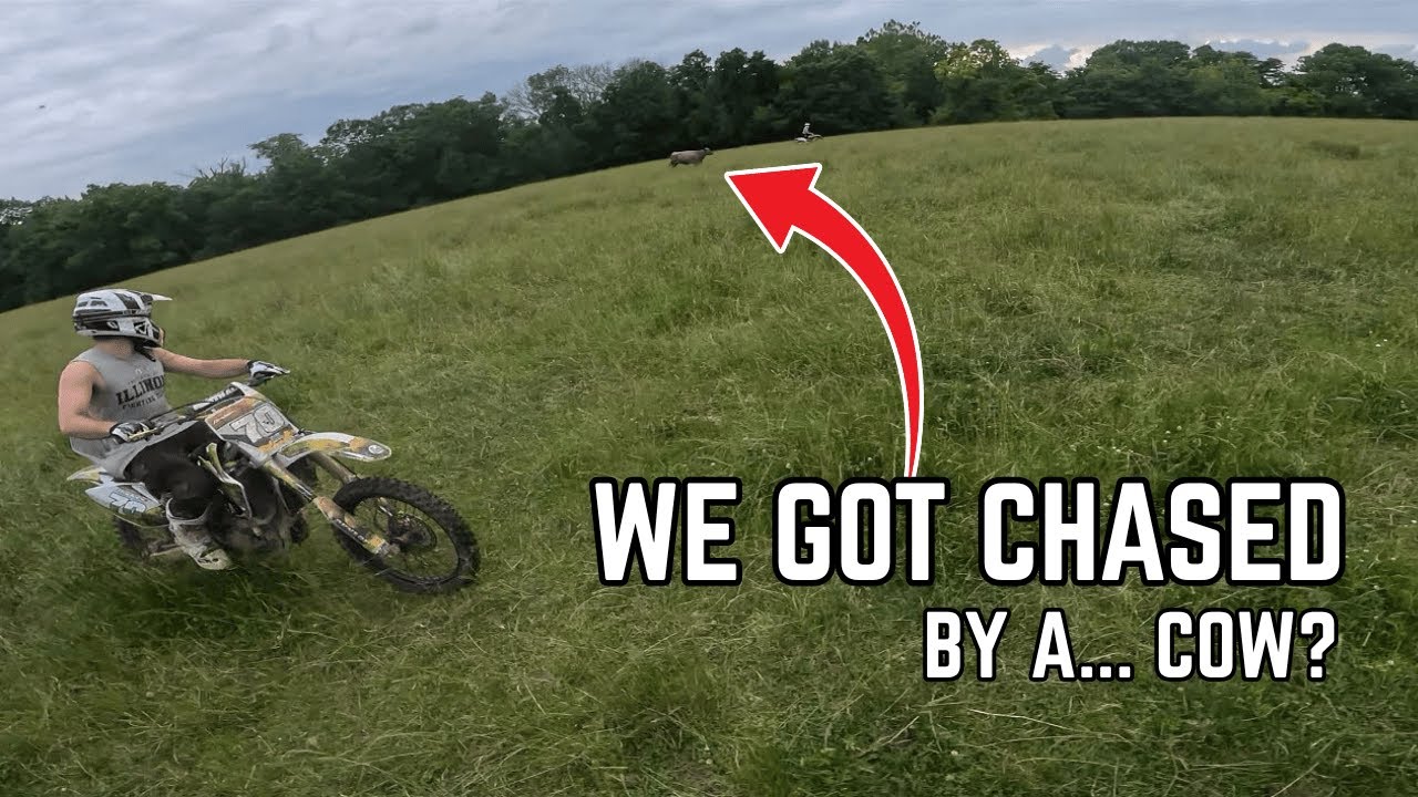 WE DIDN'T EXPECT THIS - YouTube