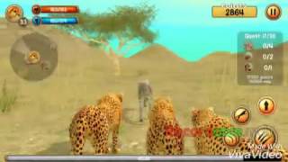 لعبه wild cheetah sim 3d screenshot 1