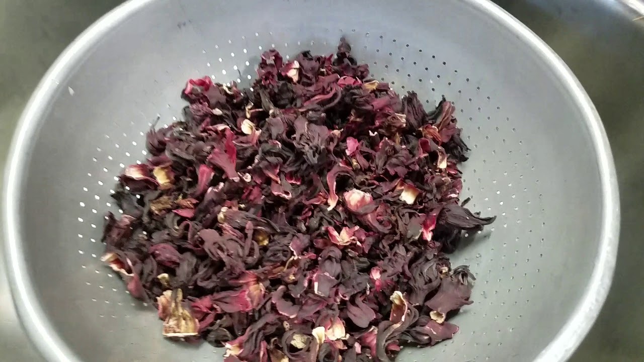 Fresco de Jamaica 🥤🥤 YouTube