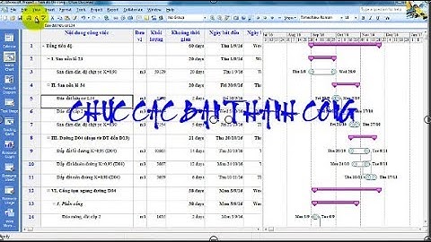 Thay đổi định dạng thanh biểu đồ tiến độ Project - Thể hiện ngày bắt đầu và kết thúc .....