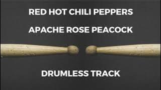 Red Hot Chili Peppers - Apache Rose Peacock (drumless)