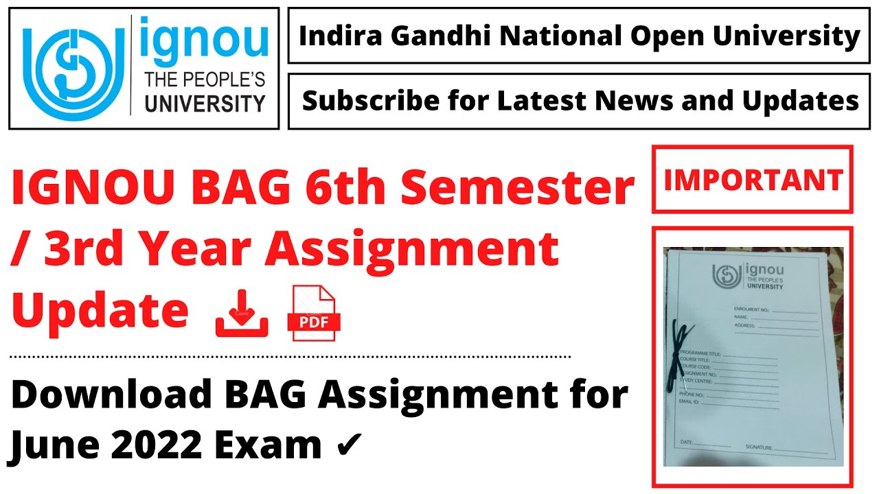 bag 3rd year assignment ignou
