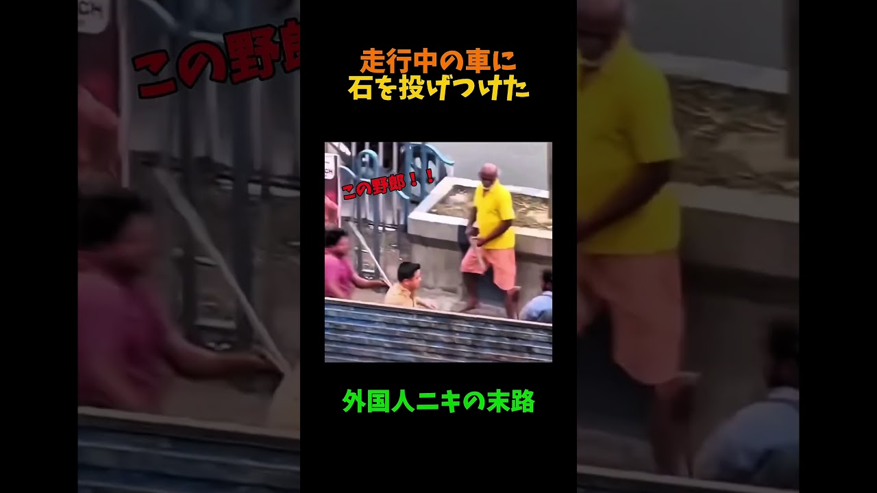 間違えて走行中の車に石を投げてしまった外国人ニキの末路#shorts