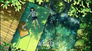 Hylla - Achillea