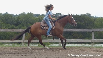 Docs Roulades - riding in outdoor arena #2 - Valley View Ranch