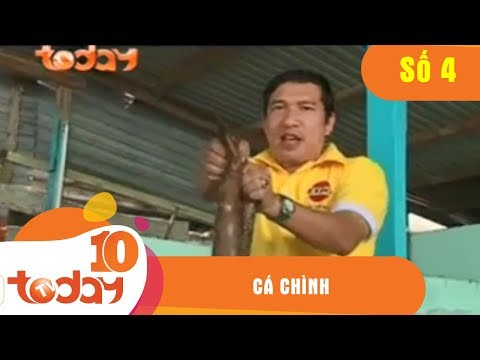 Cá Chình - Ẩm Thực | TodayTV