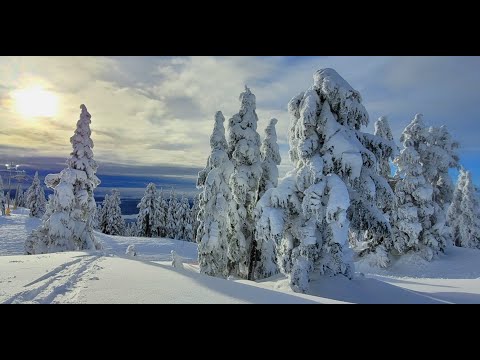 Video: Cypress Mountain Ski Resort: Den komplette guiden