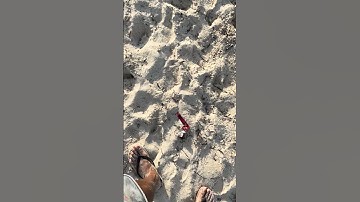 STILL MORE TRASH AT THE BEACH
