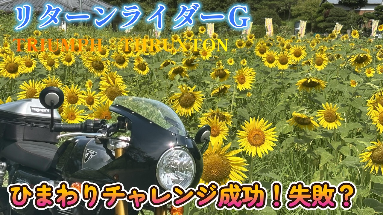 NO271 ひまわりチャレンジ成功！失敗？ - YouTube