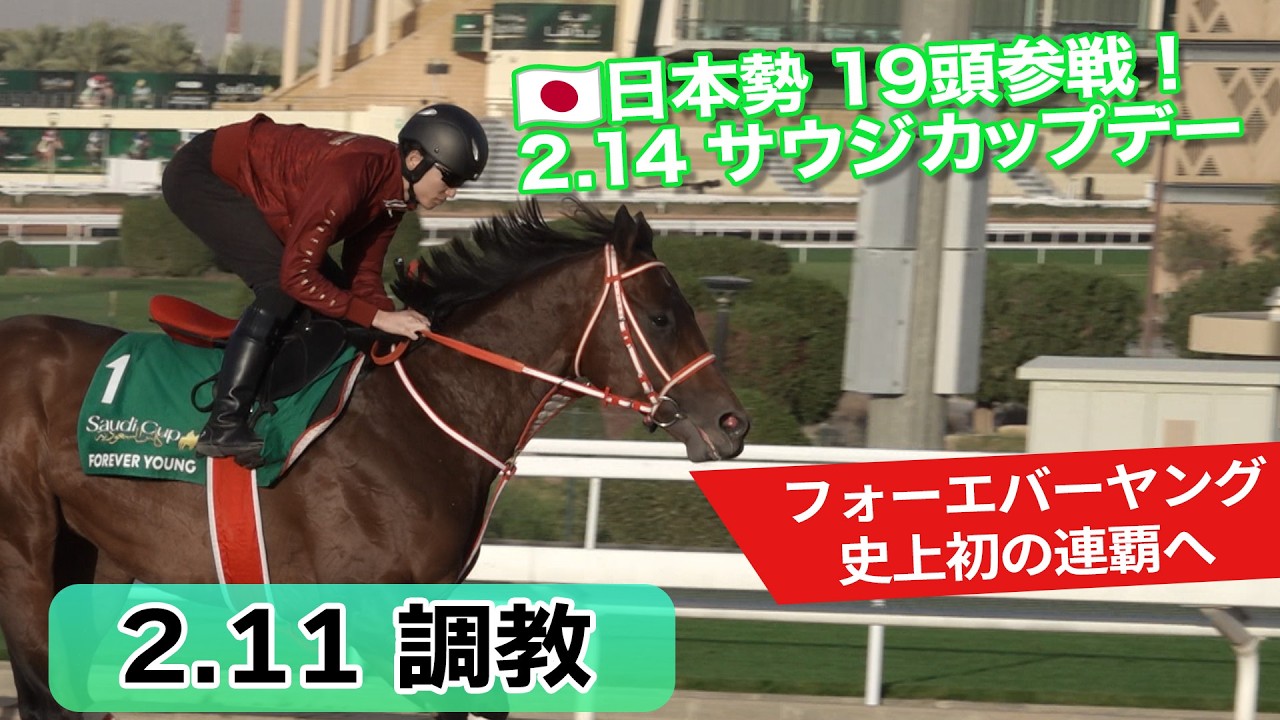 2026サウジカップデー】史上初のサウジカップ連覇を目指すフォーエバー
