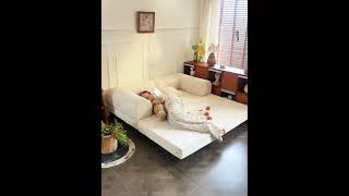 Small Apartment | Stylish Living Room Sofa Bed#sofa #home #homedesign #homedecor #bed #shorts