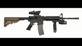 Beast Gun SFX