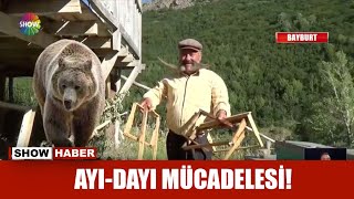 Ayı-Dayı mücadelesi! Resimi