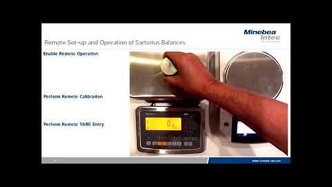 How balance and scale attributes complement each other