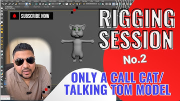 3D Model Rigging session no.2 for Only a call Cat /Talking Tom