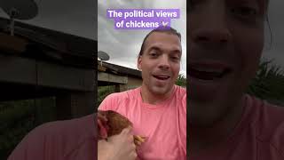 My chickens Political Views