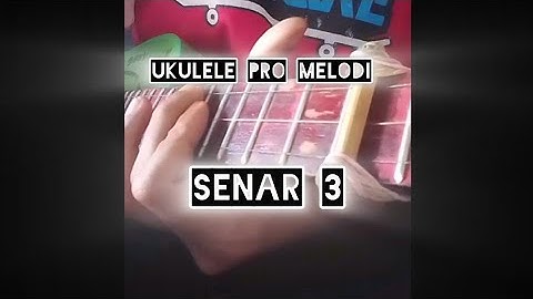 Ukulele senar 3 - pro melodi
