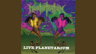 Scrolls Of The Megilloth 