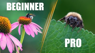 7 Insect Macro Photography Tips: Improve in 8 Minutes