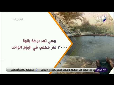 حمام فرعون علاج رباني في أرض الفيروز