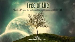 Audiomachine - The Truth