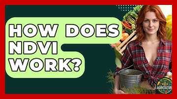 How Does NDVI Work? - The World of Agriculture