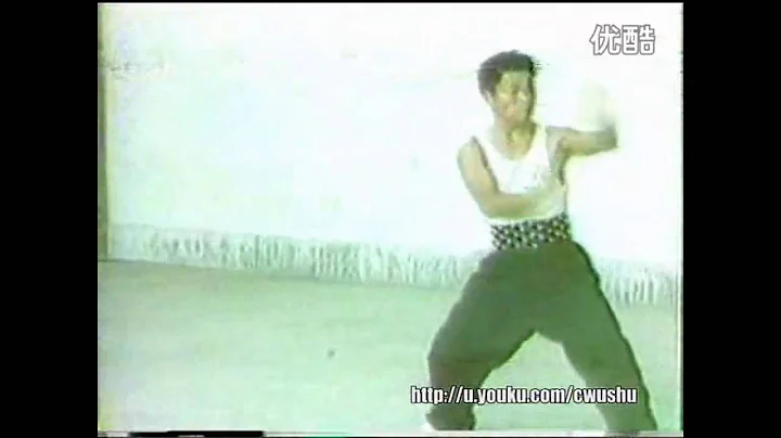 Fujian Wen Quan boxing forms