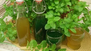 MINT SYRUP Recipte - How to Make Mint Simple Syrup