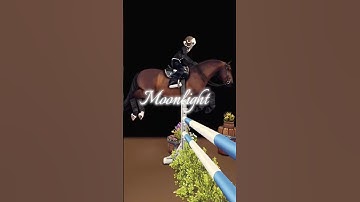 ~ your best Friends? #starstableonline #sso #starstableonlineedit