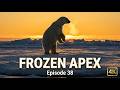 Frozen Apex | Episode 38 | AI Wildlife Documentary | Algorithm's Eyes