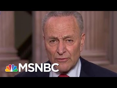 Schumer: Trump Admin Prolonging Nation's Agony, Avoiding Science | Rachel Maddow | MSNBC