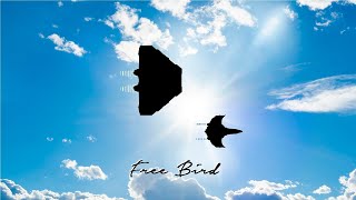 Elite Dangerous - Free Bird