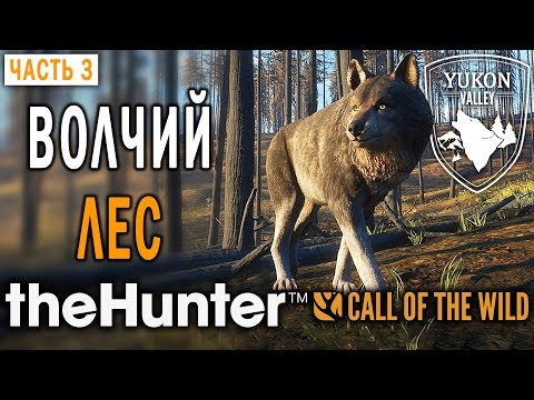 Видео: theHunter Call of the Wild #3 🐺 - Волчий Лес - Долина Юкона, Аляска