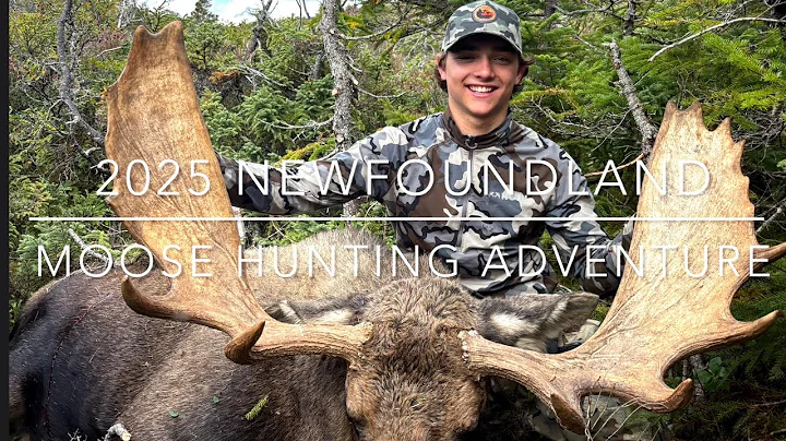 2025 Newfoundland Moose Hunt