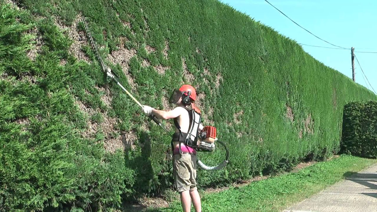 Uncategorized Hedge Trim time lapse hedge trimmer youtube