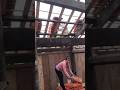 Short break, then back to roofing