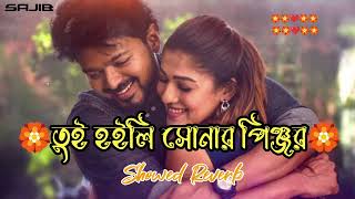 তুই হইলা সোনার পিঞ্জর ময়না slowed reverb  Tui Hoila Sonar Pinjar Mayana Viral Lofi Song