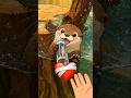 Dieser Otter wird dein Herz schmelzen lassen 😍#Süß #Viral 🦦🔥