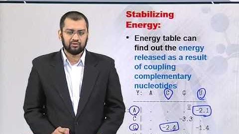 Topic 100 (BIF401 - Bioinformatics I)