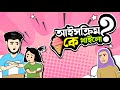     yamin cartoon raisa cartoon  charui official  bangla funny cartoon