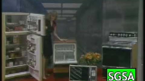 Stupid Game Show Answers - Mala-Props