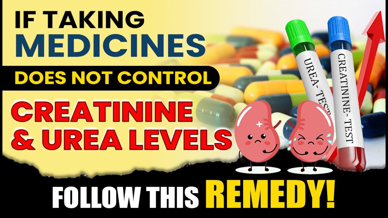 If Taking Medicines Does Not Control Creatinine Urea Levels Follow If Taking Medicines Does Not Control Creatinine Urea Levels Follow
