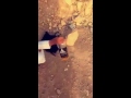 زيت زيتون ههههههه