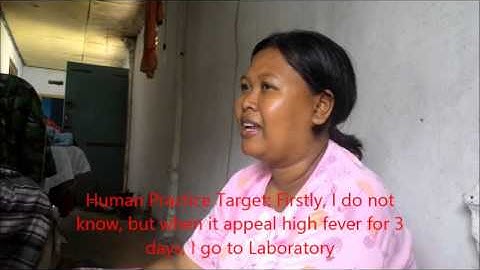 Team iGEM UB_Indonesia 2015 De(ngue)tective project @iGEM2015