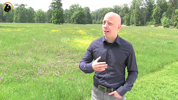 Jaké jsou vlastnosti permanentních magnetů?