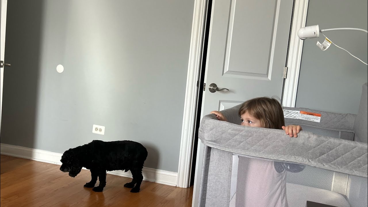 Daily dose of laughter 😆 