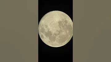 في ليلة قمرا قمر 15 تصويري 