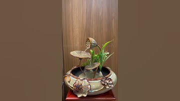 Tiểu cảnh thác nước đài và lá sen 🌷#thacnuoctieucanh #thacnuocphongthuy #tieucanhmini #daisen