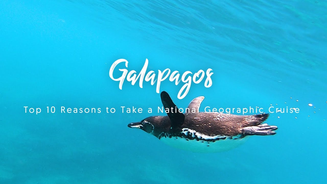Top 10 Reasons to Take a Galapagos Cruise with National Geographic